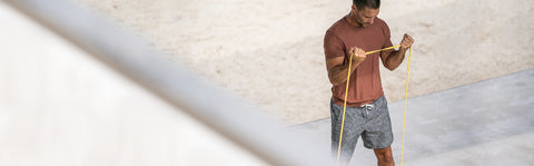 Back In Stock Favorites